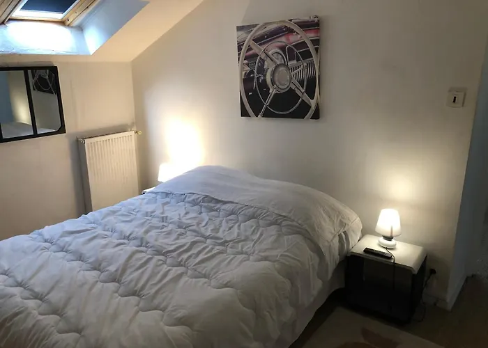 Appart Hotel Le Victor Hugo Art Mechanical Et Sa Pizza Offerte