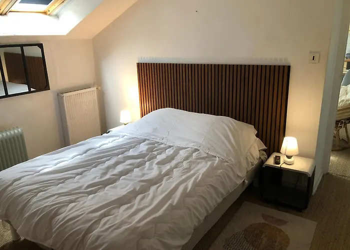 Appart Hotel Le Victor Hugo Art Mechanical Et Sa Pizza Offerte